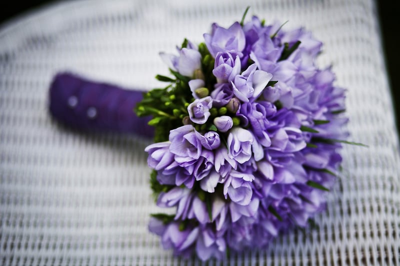 Beachfront Wedding Venue